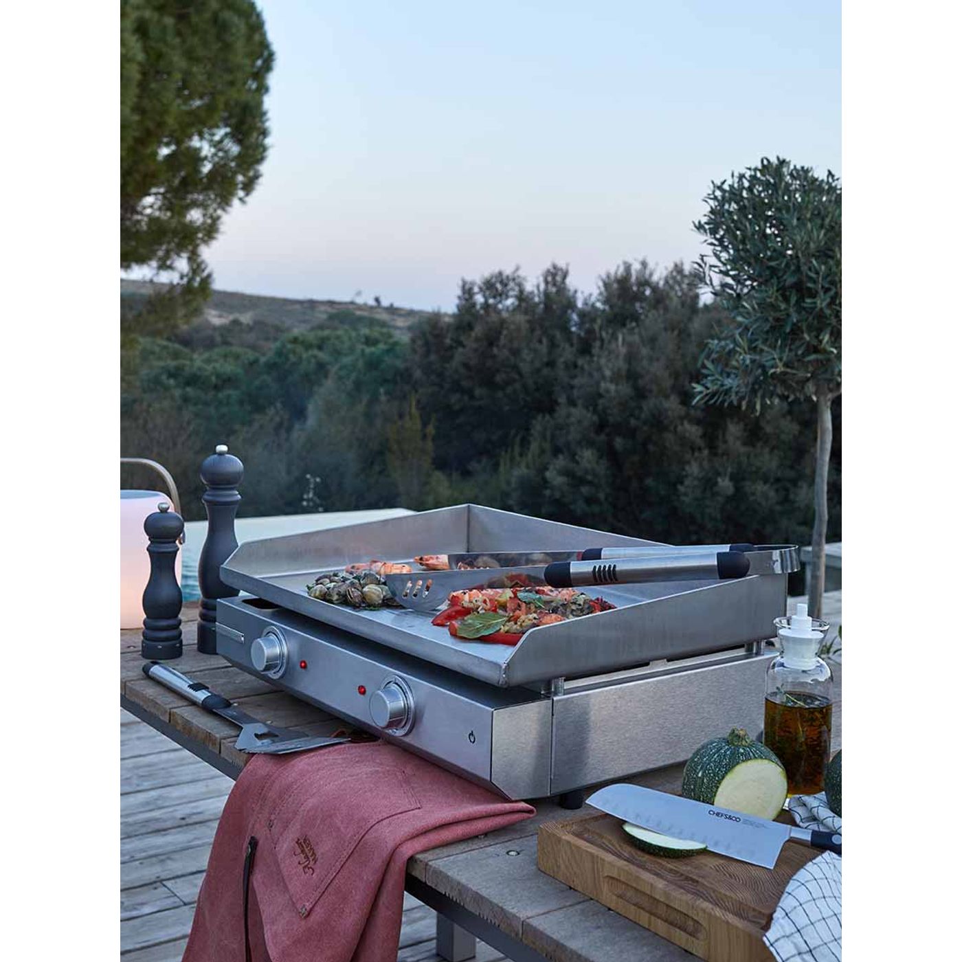 Plancha professionnelle inox